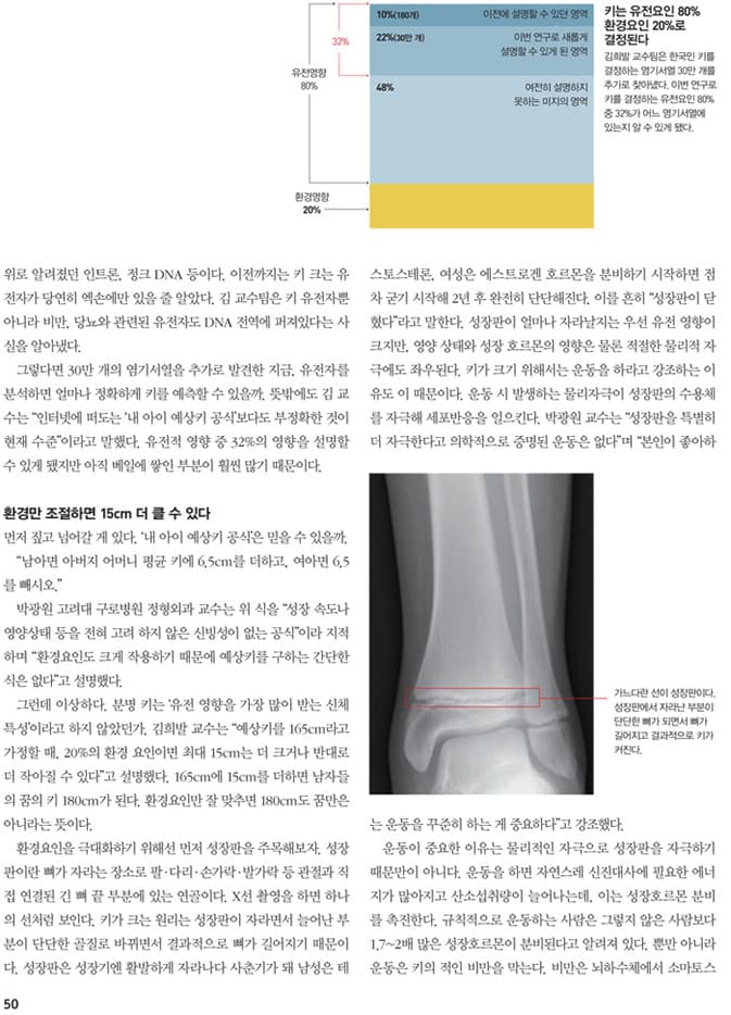 환경 요인과 성장판 - 인포그래픽 3