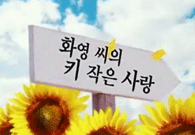 휴먼다큐 해바라기 - 화영씨의 키작은 사랑